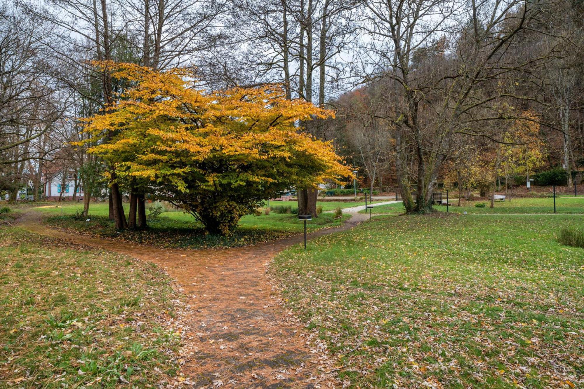 Appartamento Luise Bad Bergzabern Esterno foto